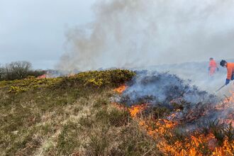 Gorse on fire, with two people controlling the burn
