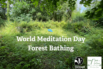 A woodland scene with text reading World Meditation Day Forest Bathing 