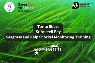 An image of seagrass taken underwater with logos for Cornwall Wildlife Trust, Seasearch and National Lottery Heritage Fund with text reading Tor to Shore St Austell Bay Seagrass and Kelp Snorkel Monitoring Training