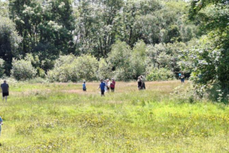 Children playing in a meadow, hunting for wildlife.