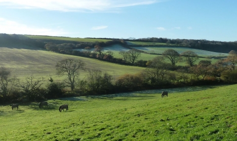 View of part of Woodland Valley Farm looking south