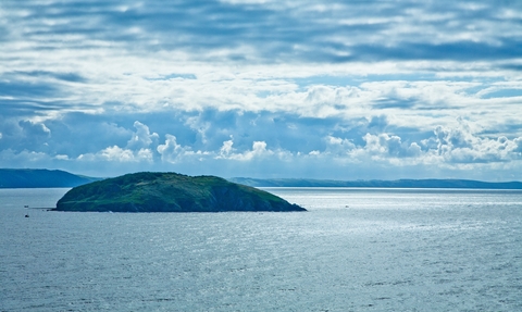 Looe Island