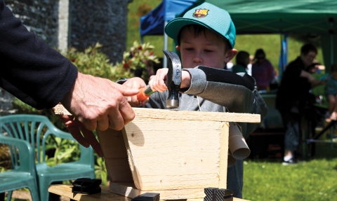 Bird box builder by Alex Pearce