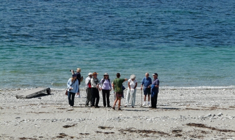 Looe Island on the shoreline