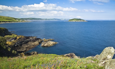 View of Looe Island with spring flowers from Horestone