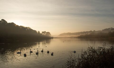 Swanpool lake