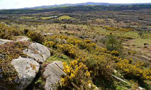 Helman Tor