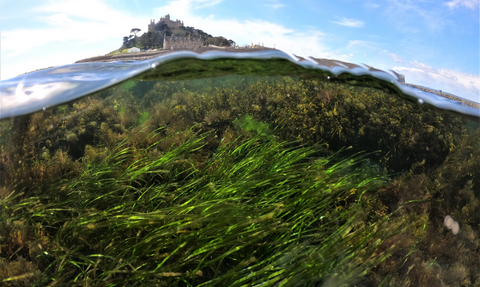 St Michaels Mount split frame with the sea