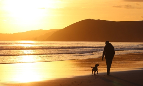 Beach walk with dog