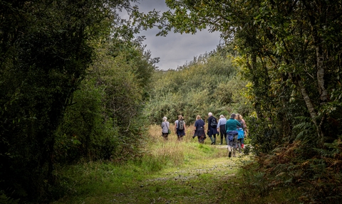 Guided Walk