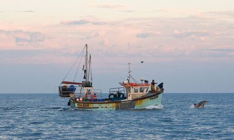 Fishing boat and dolphin