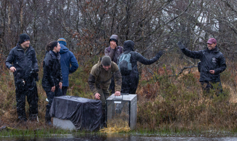 People looking excited after a beaver has been released