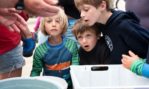 A group of children gazing with awe during a nature engagement activity