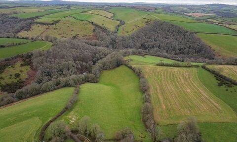 Drone shot of fields and trees