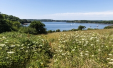 Wildlife friendly at CWT Churchtown Farn Nature Resrve by Ben Watkins