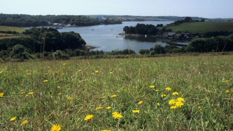 Churchtown Farm Nature Reserve