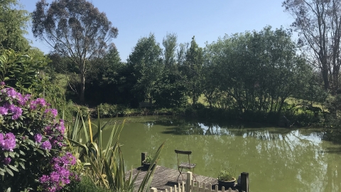 Tranquility at Little Park Farm Open Garden