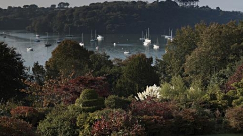 Helford View
