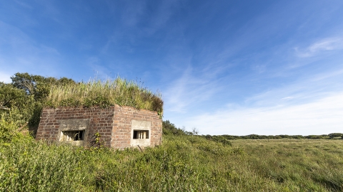 Windmill Farm