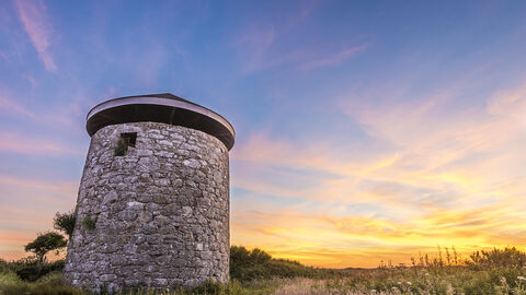 Windmill Farm