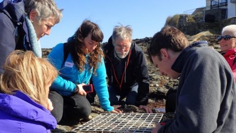shoresearch_cornwall_wildlife_trust