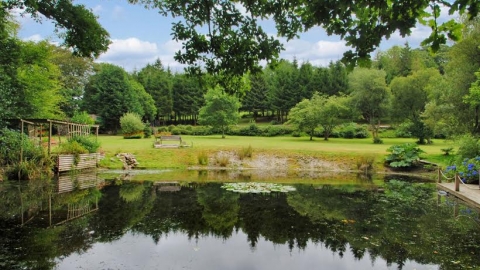 reflective lake displays lush green foliage and blue skies
