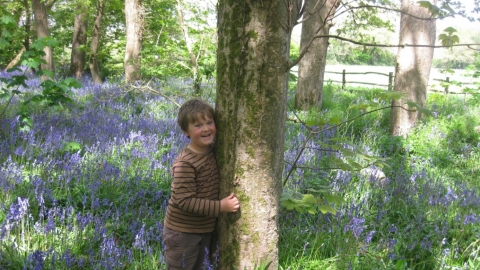 Wildlife Watch - Learning about trees by Cheryl Marriott