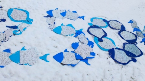 Second wave of marine protection welcomed in Cornwall