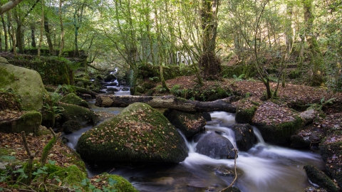 Kennal Vale by Adrian Langdon