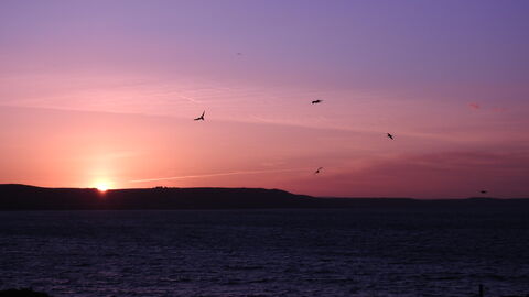 May Sunrise from island by Claire Lewis