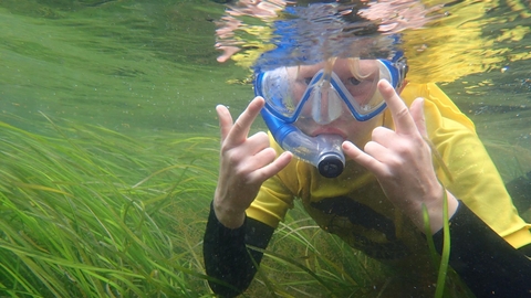 Young boy snorkelling amongst seagrass