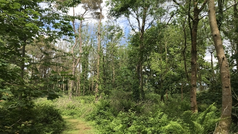 Five Acres