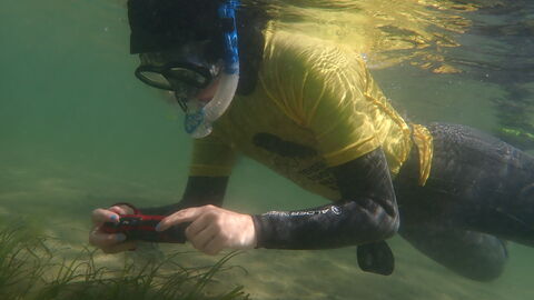 Mounts Bay Easter Festival – Snorkel Safari