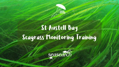 Seagras Monitoring Training