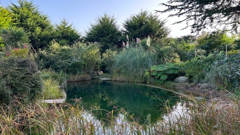 A large wildlife pond in the centre of the image is surrounded by reeds and an assortment of shrubs. Some coniferous trees can be seen in the background.