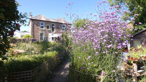 A sunny shot of Meadowside garden and house with tall purple flowers in the foreground.