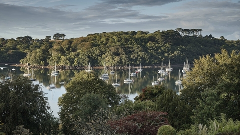 A shot of Pedn Billy, with the Helford River in the middle and an assortment of trees and shrubs in the foreground and background.