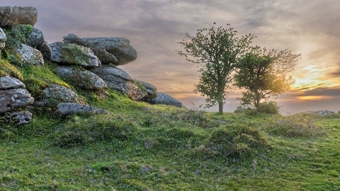 The rocks at Helman Tor alongside a tree at sunset