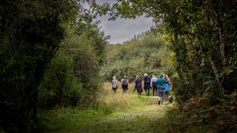 Guided Walk