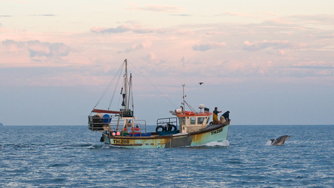 A bottlenose dolphin breaches beside a fishing boat out at sea at sunset
