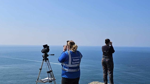Sea Watch at Rame Head