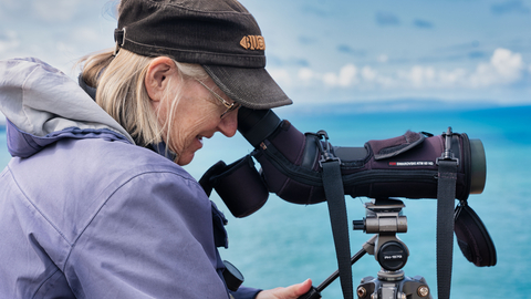 Wilderness Photographic SQSW