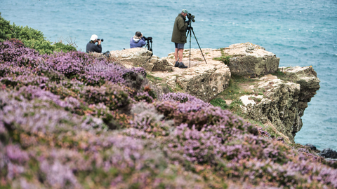 Wilderness Photographic SQSW