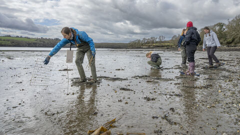 People walking across mud in waders