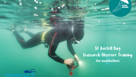 A person snorkelling with logos for Your Shore and Seasearch