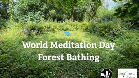 A woodland scene with text reading World Meditation Day Forest Bathing 