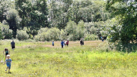 Children playing in a meadow, hunting for wildlife.