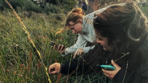 Two women are looking at some grass close up with phones in their hands.