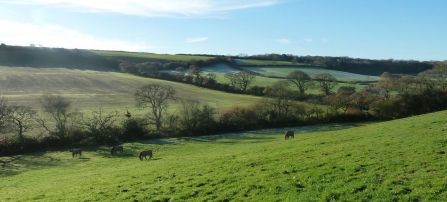 View of part of Woodland Valley Farm looking south