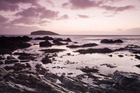 Looe Island